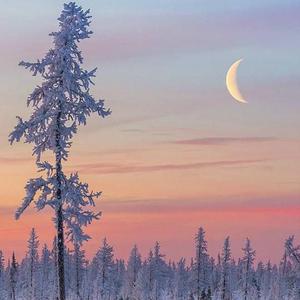 最新在线精品永久观看av
